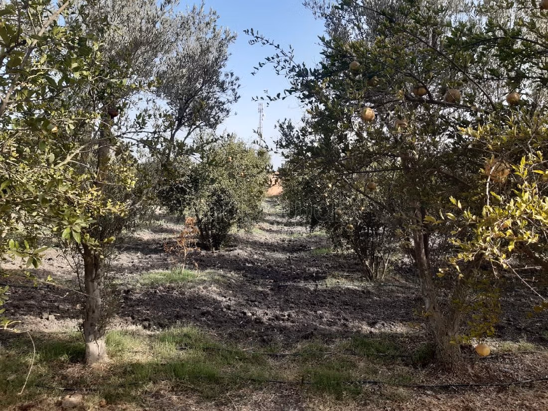 Nice farm for sale. Small area 40500 m². Basement. 