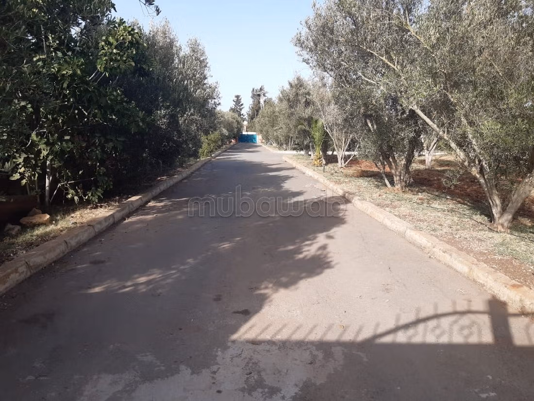 Nice farm for sale. Small area 40500 m². Basement. 