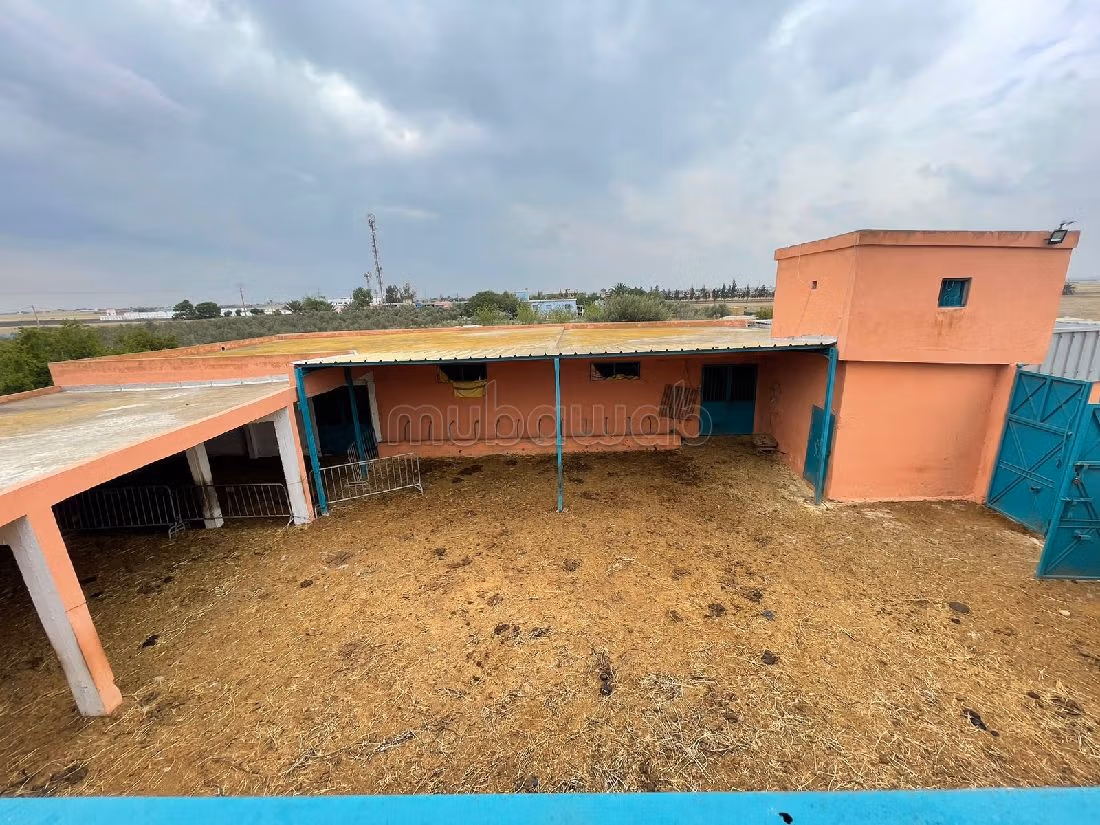 Nice farm for sale. Small area 40500 m². Basement. 