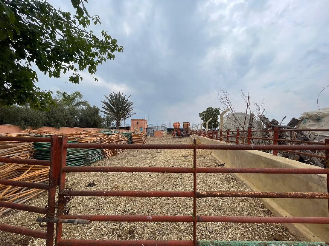 Nice farm for sale. Small area 40500 m². Basement. 