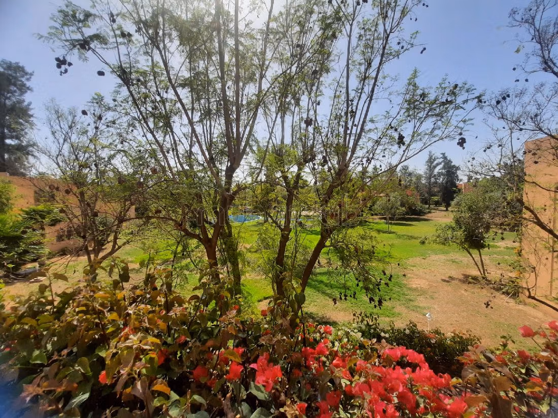 Exclusivité   maison 4 pièces avec piscine