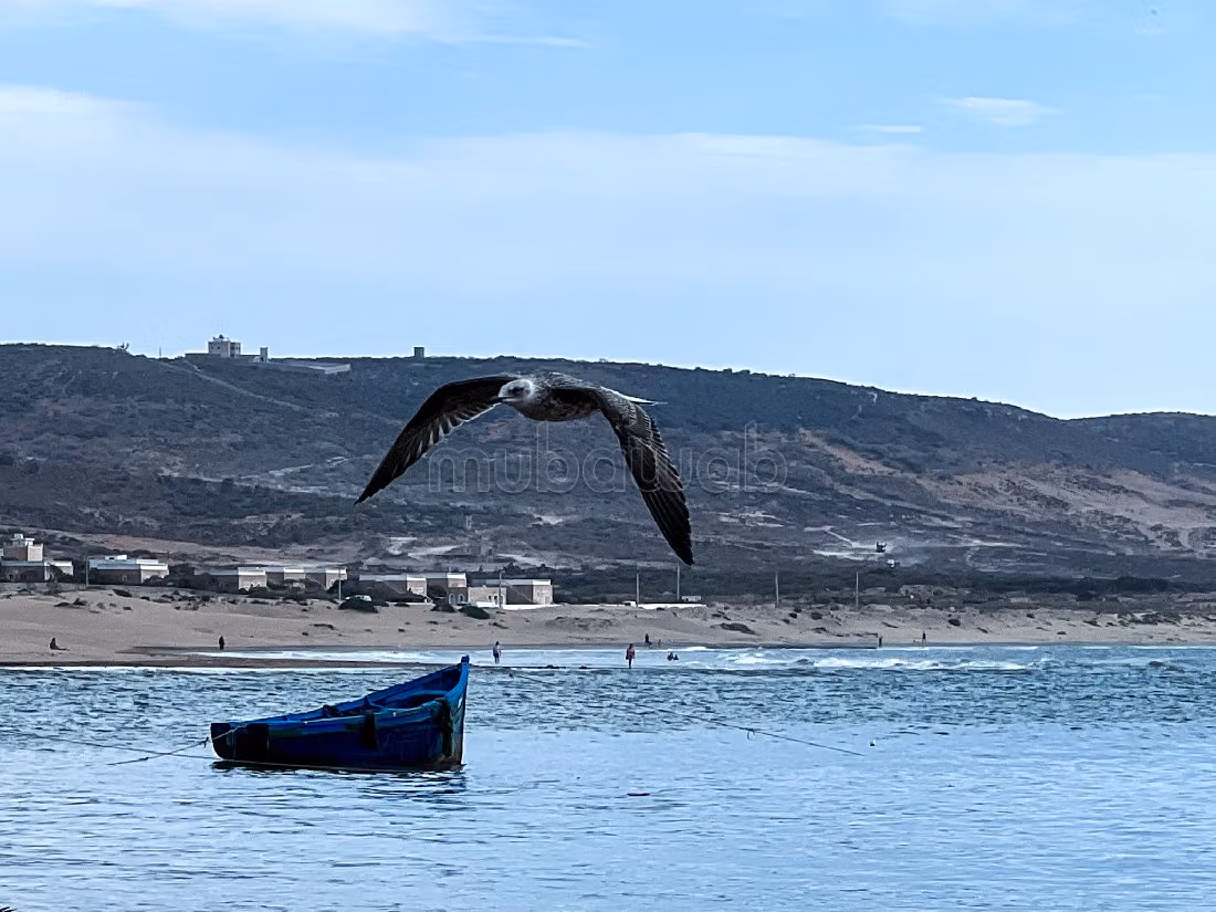 Un’opportunità d’investimento unica