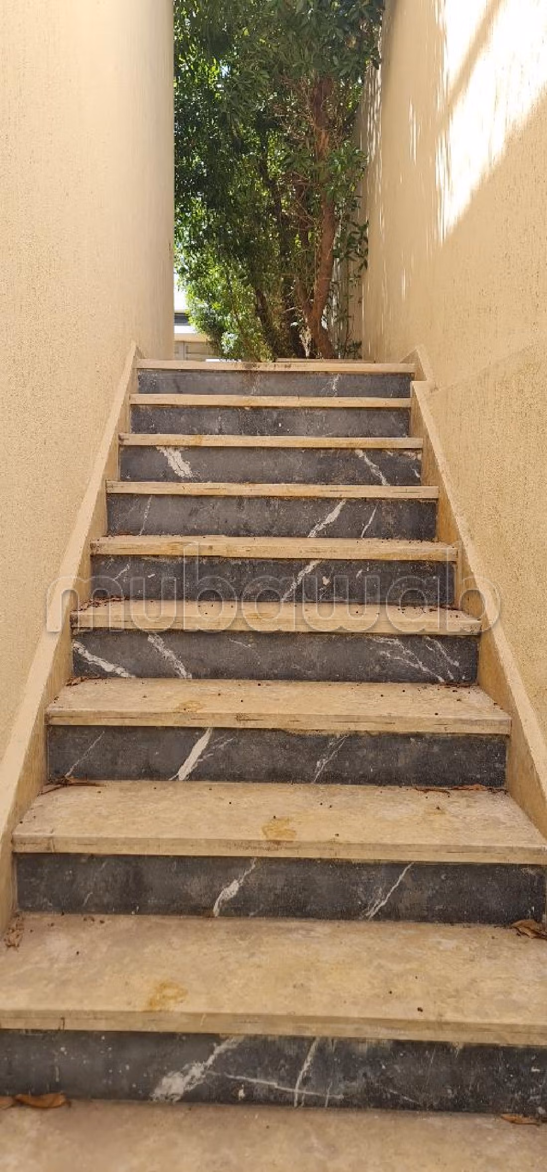 منزل فاخر للإيجار بالالفة. المساحة الكلية 300 م². شرفة جميلة وحديقة. 