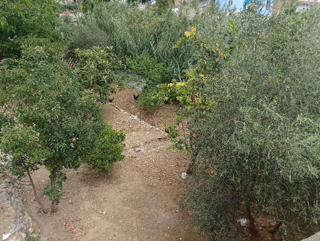 Proprietà in vendita. Superficie totale 250 m². Giardino, terrazzo
