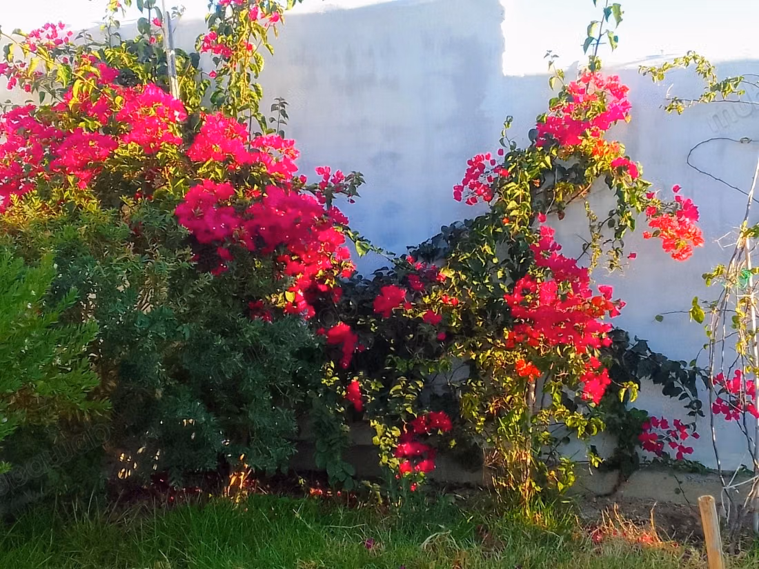 High quality house for sale. 2 rooms. Well furnished