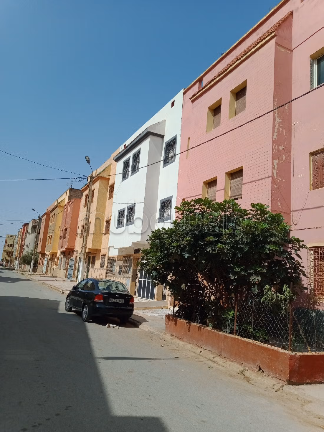 Casa en venta. 10 habitaciones grandes. Salón marroquí y antena parabólica