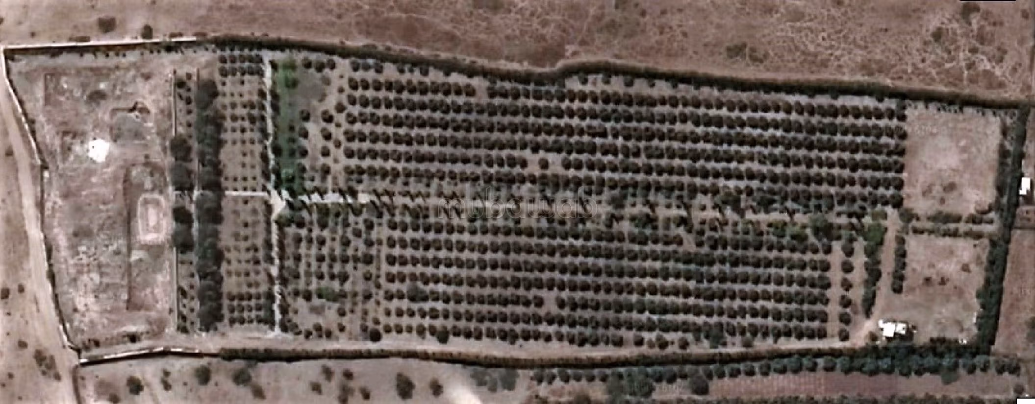 Boerderijen beschikbaar. Totale oppervlakte 34000 m². Beveiligingssysteem aanwezig