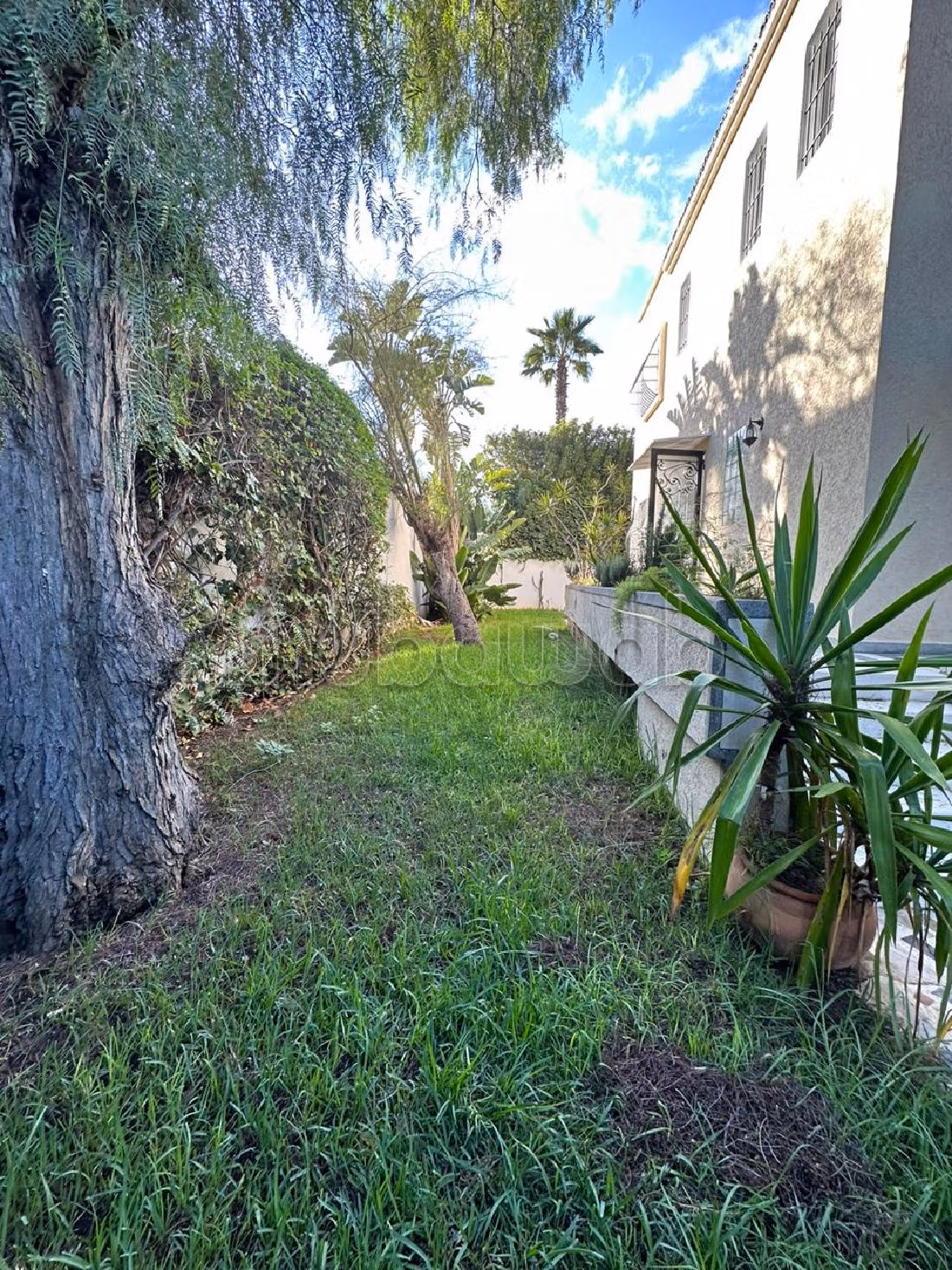 Maestosa villa in affitto a CIL (Hay Salam). Superficie 500 m². Porta blindata e servizio di videosorveglianza. 