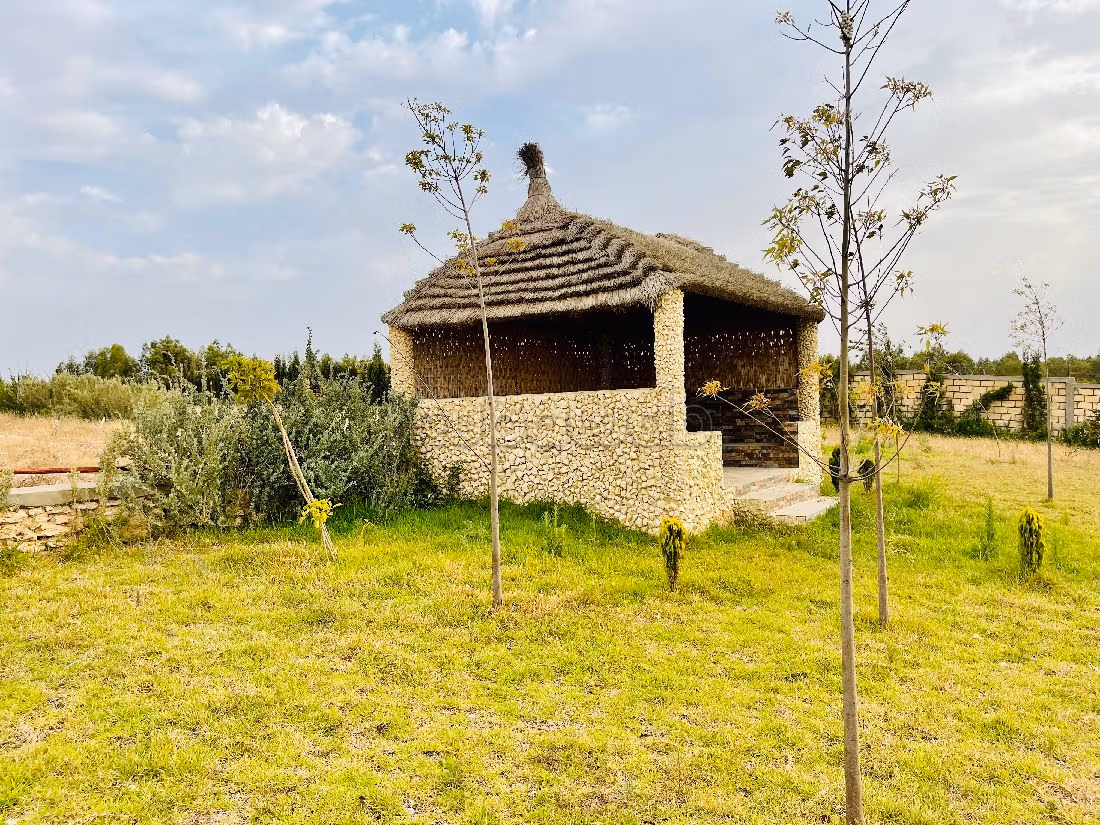 مزرعة رائعة للبيع ب مركز المدينة. المساحة الكلية 30000 م². 