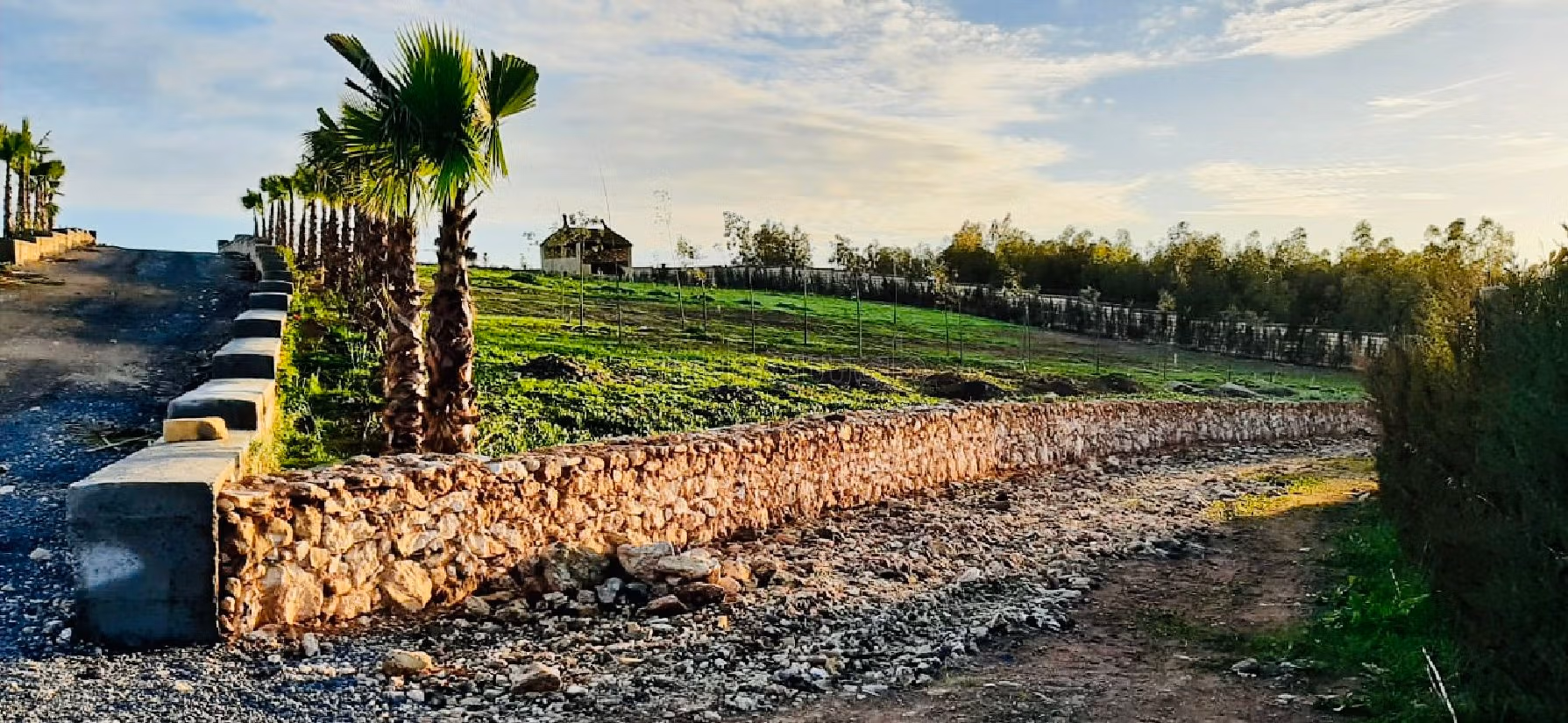 مزرعة رائعة للبيع ب مركز المدينة. المساحة الكلية 30000 م². 