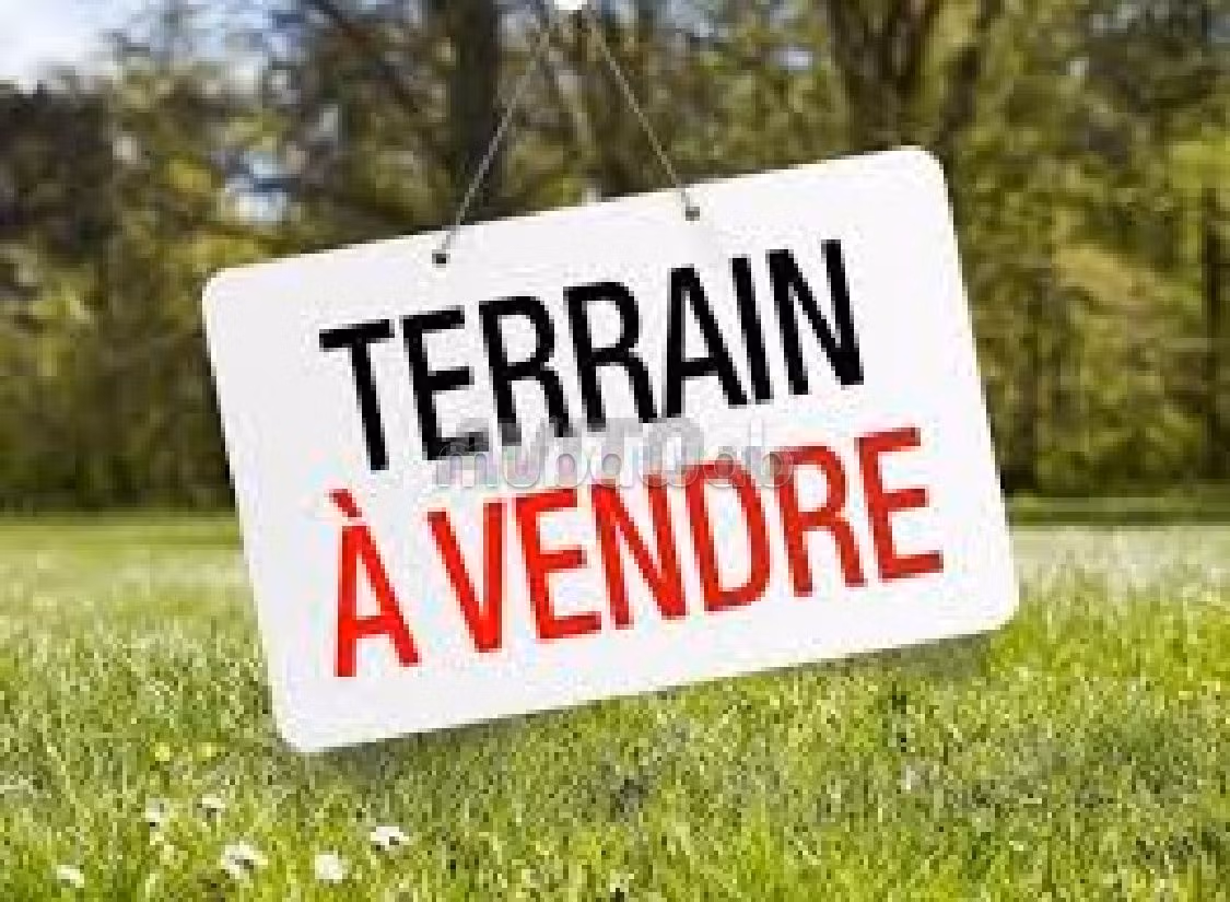 Terrain a vendre zone villa hay mohammadi