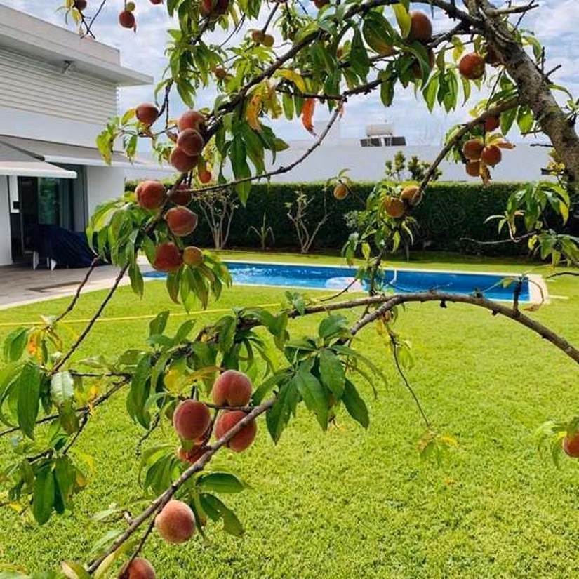 Villa à Vendre de 949.0 m² à Bouskoura, Bouskoura
