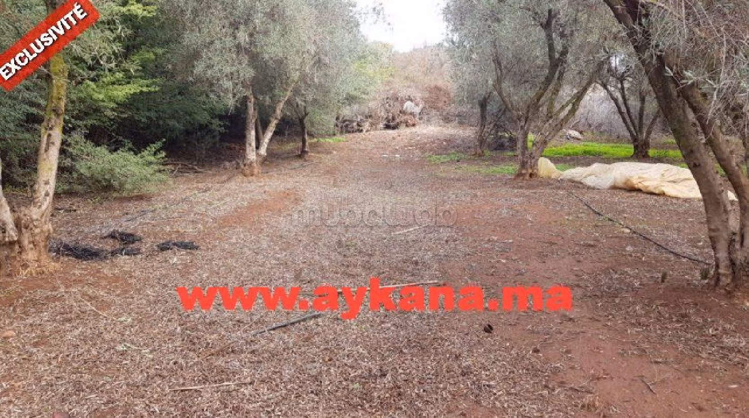 Fattoria in vendita. 3 belle camere da letto