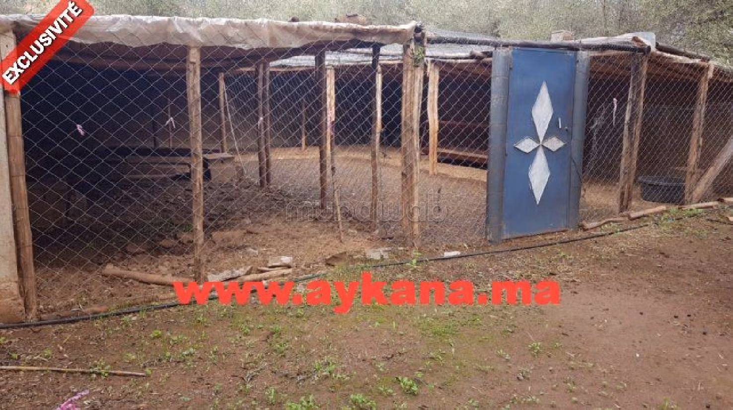 Fattoria in vendita. 3 belle camere da letto