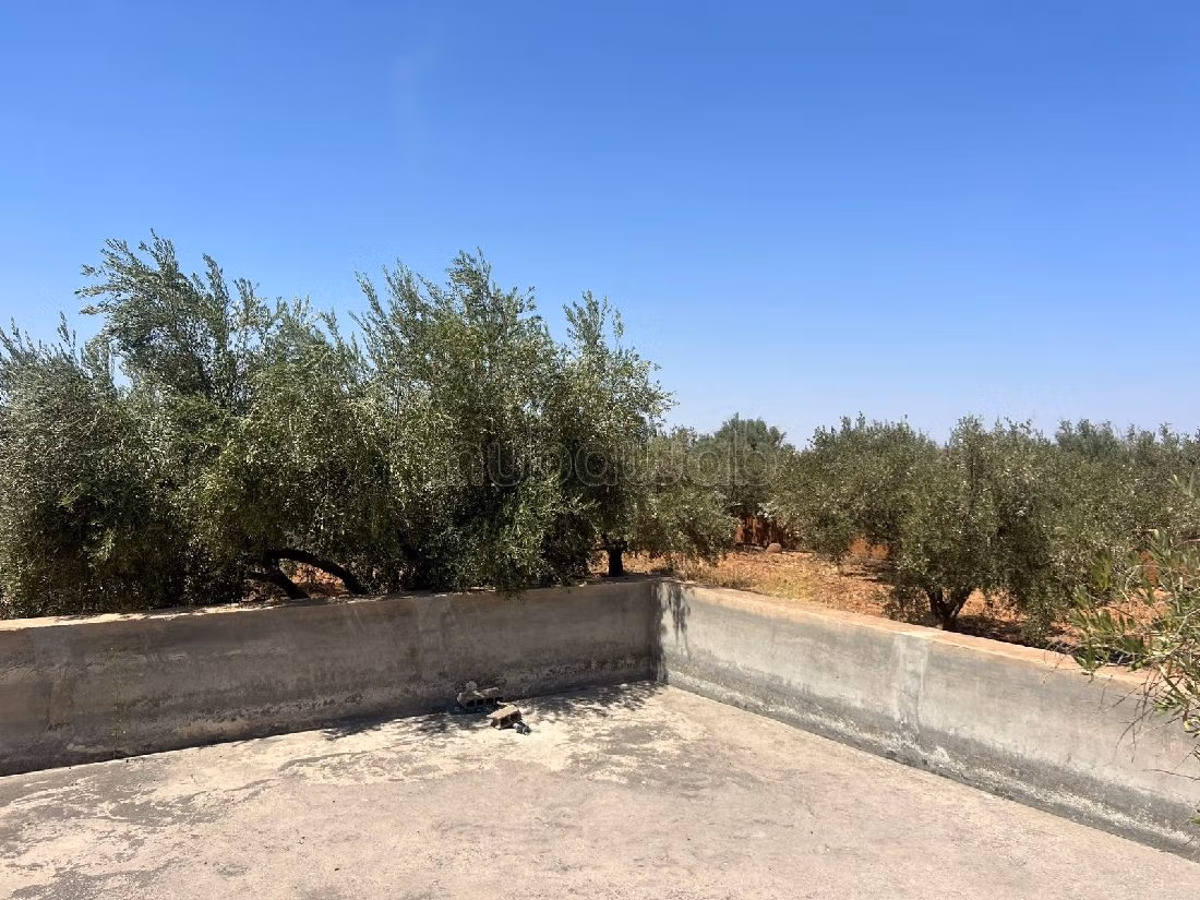 Find your farm to buy in Route de l'Ourika. Area 38745 m². 