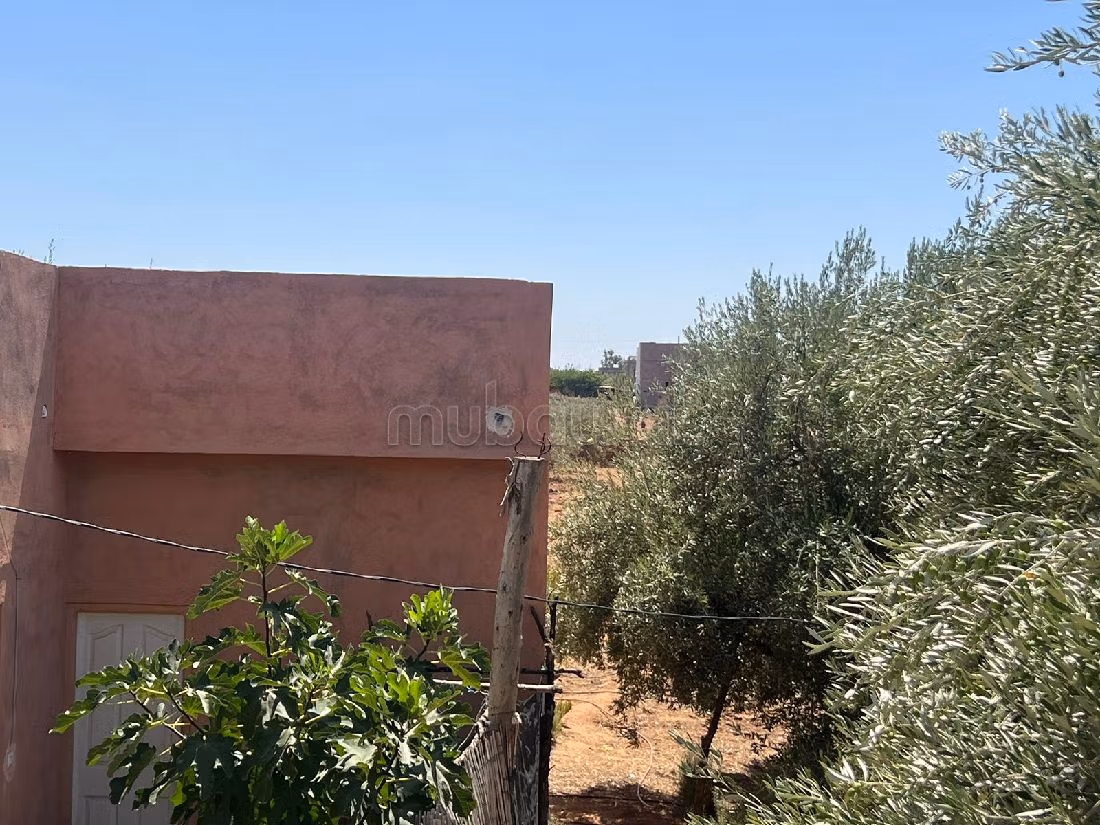 Find your farm to buy in Route de l'Ourika. Area 38745 m². 