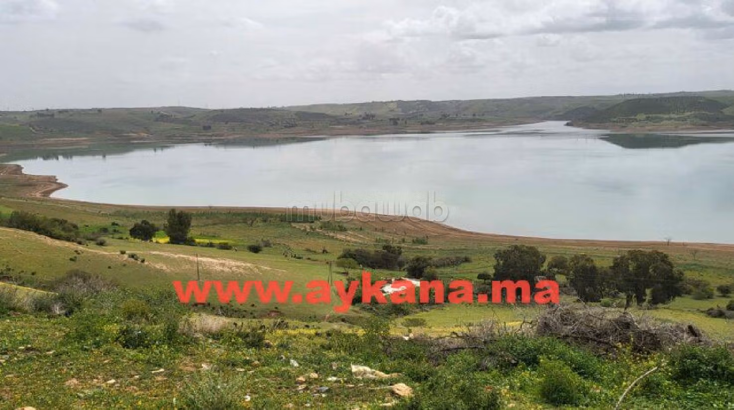 Nice farm for sale. Small area 45000 m². 