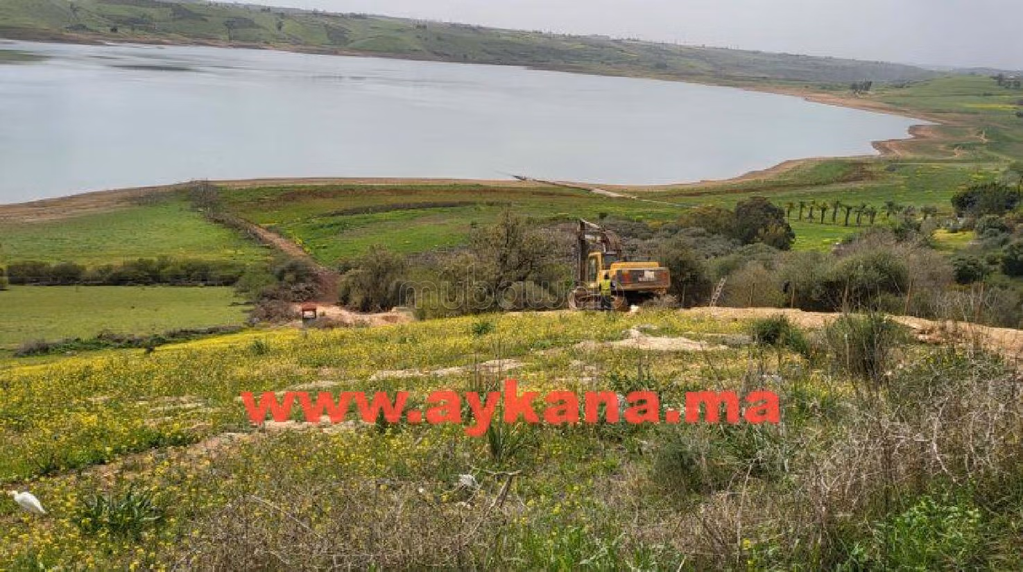 Nice farm for sale. Small area 45000 m². 