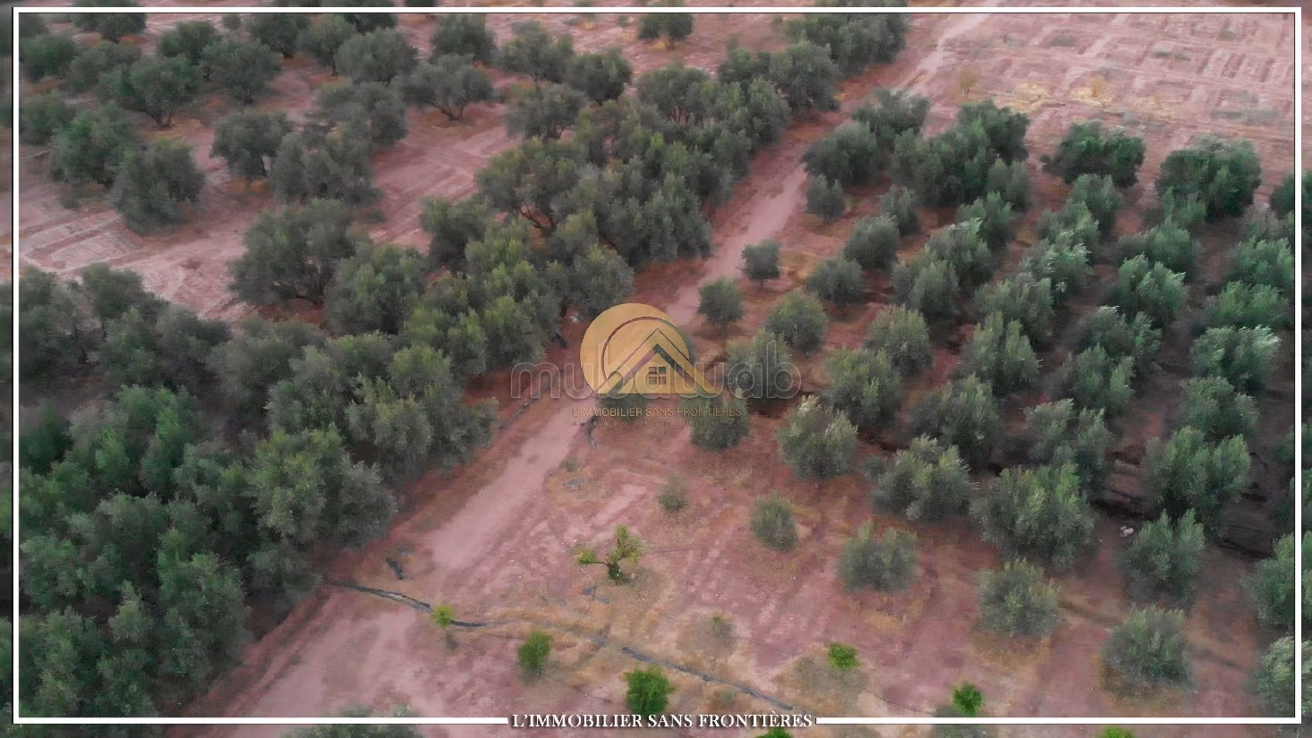 Nice farm for sale in Route de Fez. Area of 42410 m²