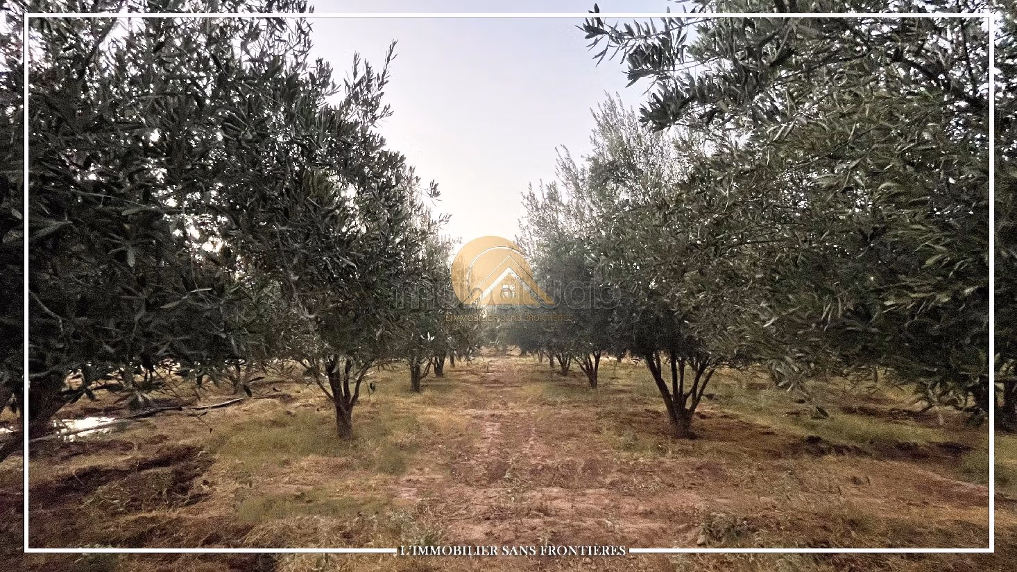 Nice farm for sale in Route de Fez. Area of 42410 m²