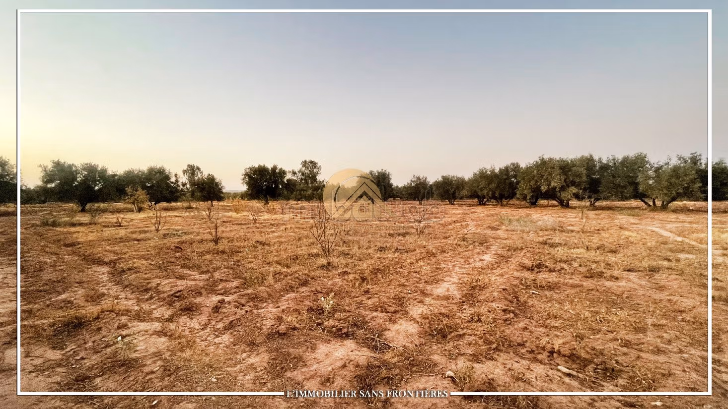 Nice farm for sale in Route de Fez. Area of 42410 m²