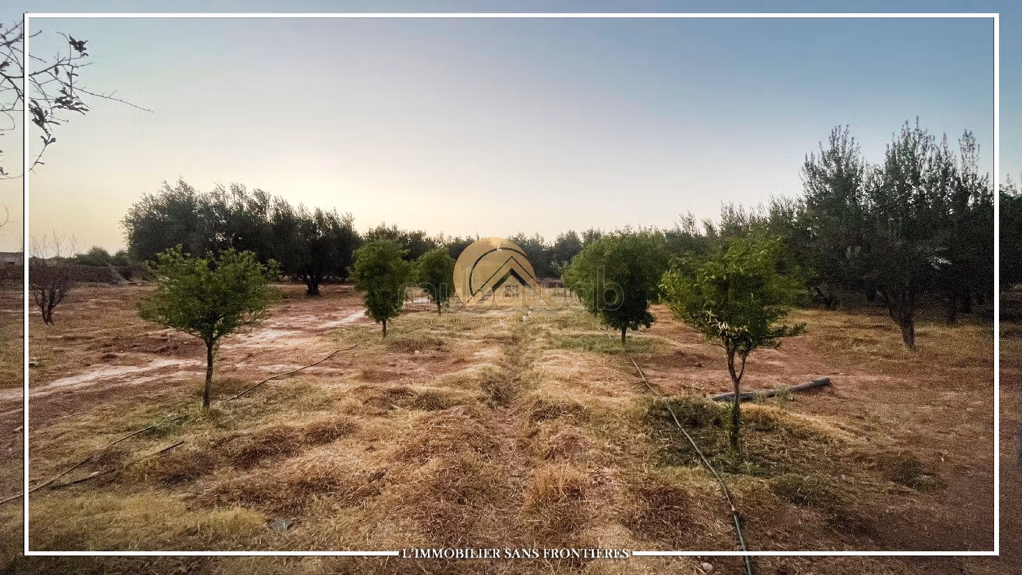 Nice farm for sale in Route de Fez. Area of 42410 m²