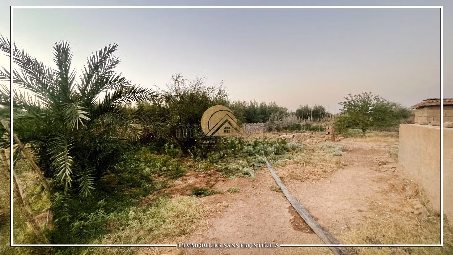 Nice farm for sale in Route de Fez. Area of 42410 m²