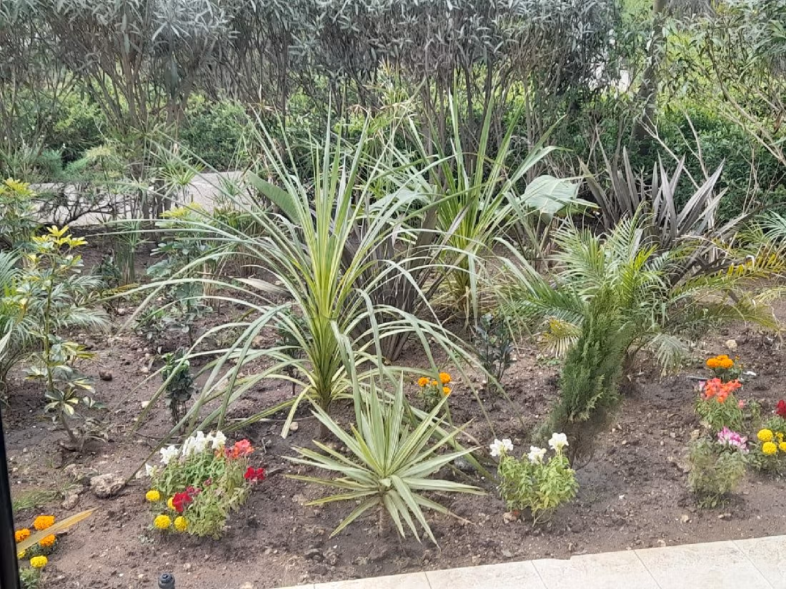 Koopappartementen. 3 Ruimtes. 