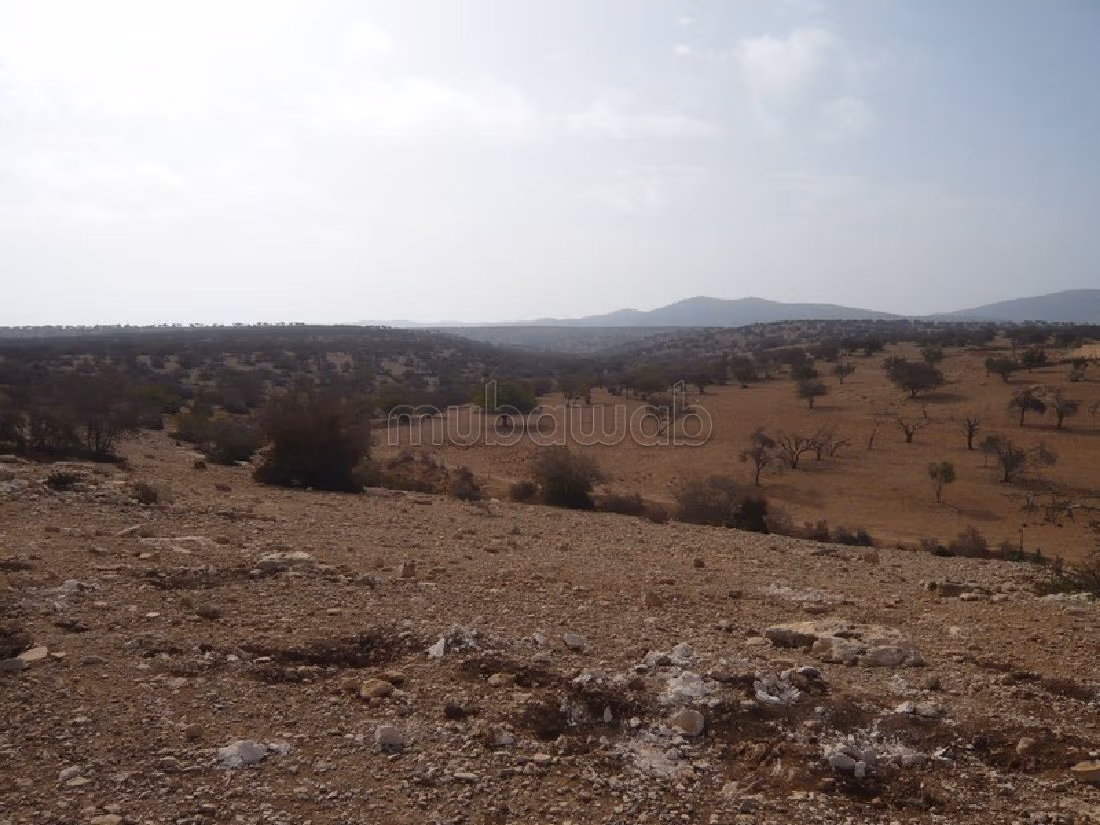 Bel terreno in vendita a Arrière Pays. Superficie di 35000 m²