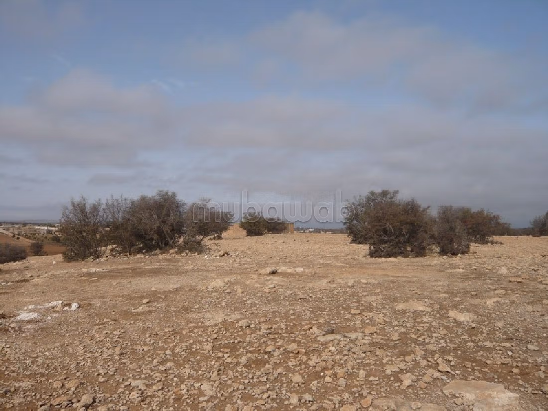 Bel terreno in vendita a Arrière Pays. Superficie di 35000 m²