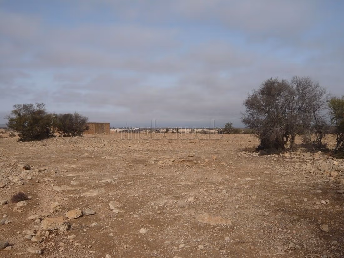 Bel terreno in vendita a Arrière Pays. Superficie di 35000 m²