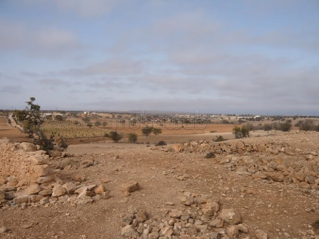 Bel terreno in vendita a Arrière Pays. Superficie di 35000 m²