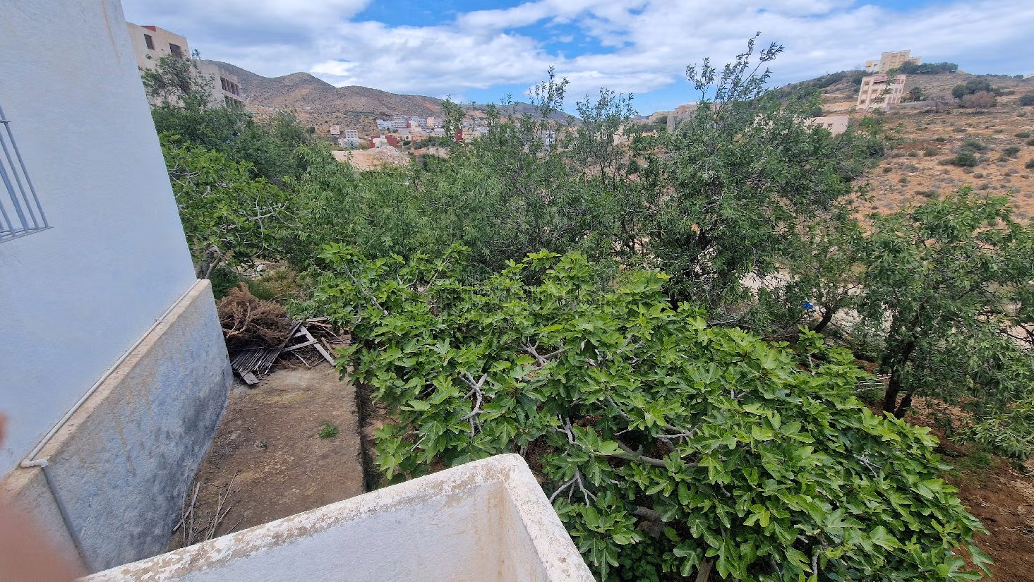 Land for sale. Dimension 1260 m²