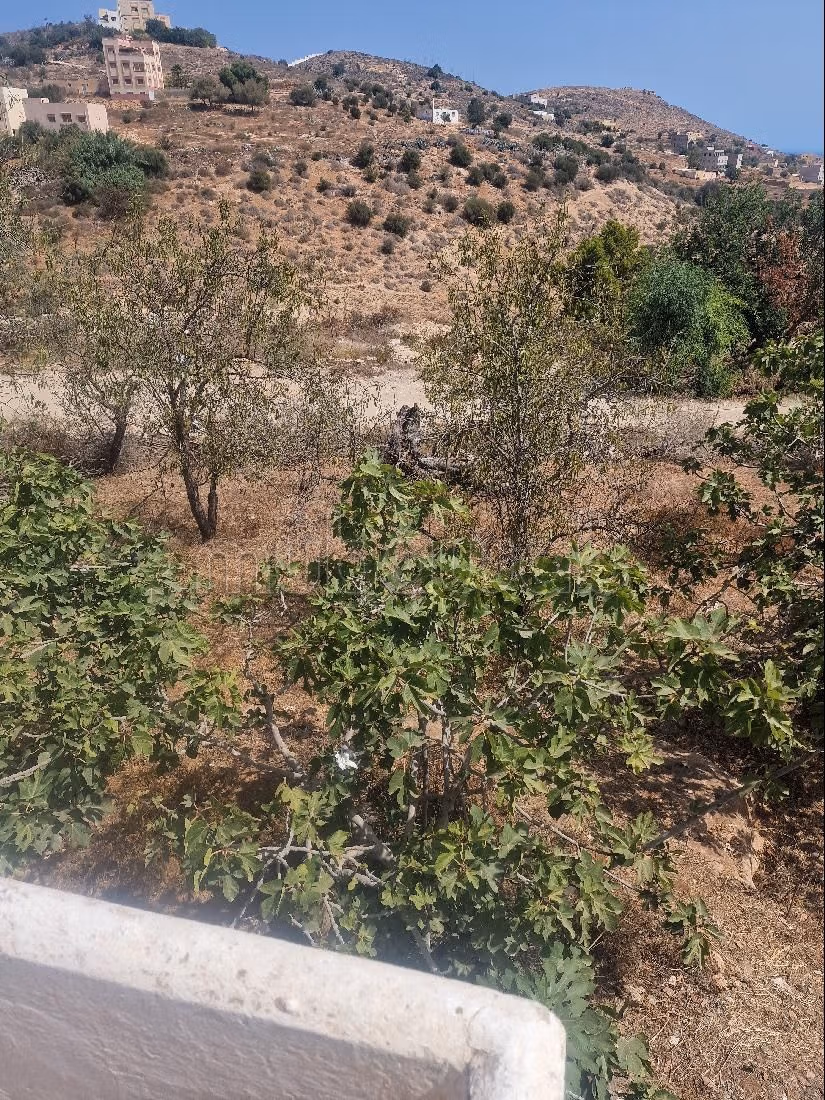 Land for sale. Dimension 1260 m²