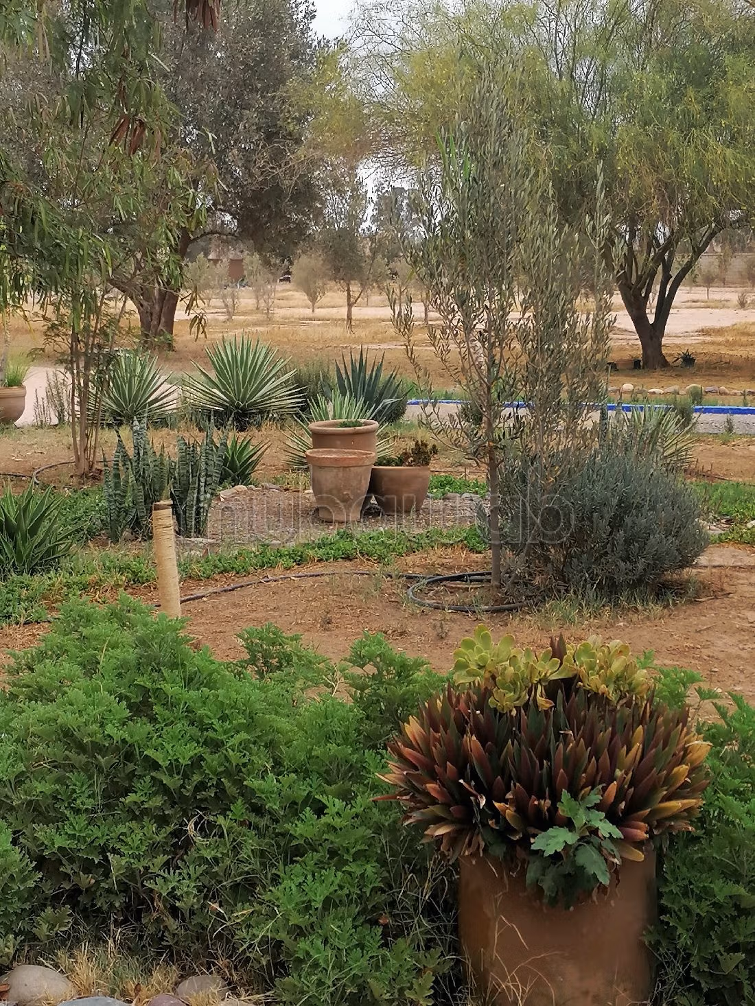 Te koop: villa's en luxe woningen in Lablalia. 8 Ruimtes. Rustige omgeving met uitzicht op de bergen, dubbel glas. 