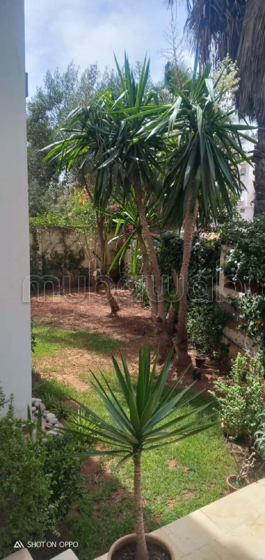 Apartment for sale in Sidi Maarouf. 3 rooms. Parking spaces. 