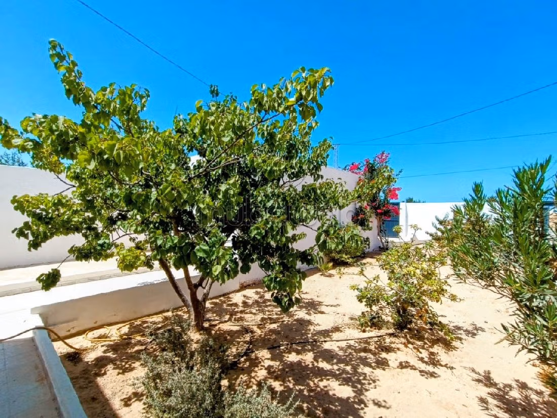Villa TIPO