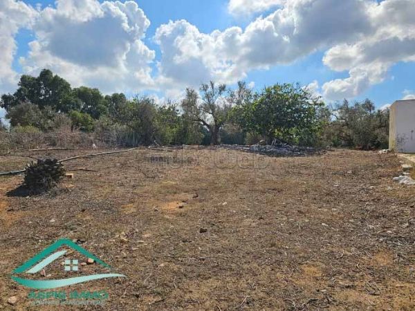 Terrain agricole 13500 m² à Kerkouene kelibia