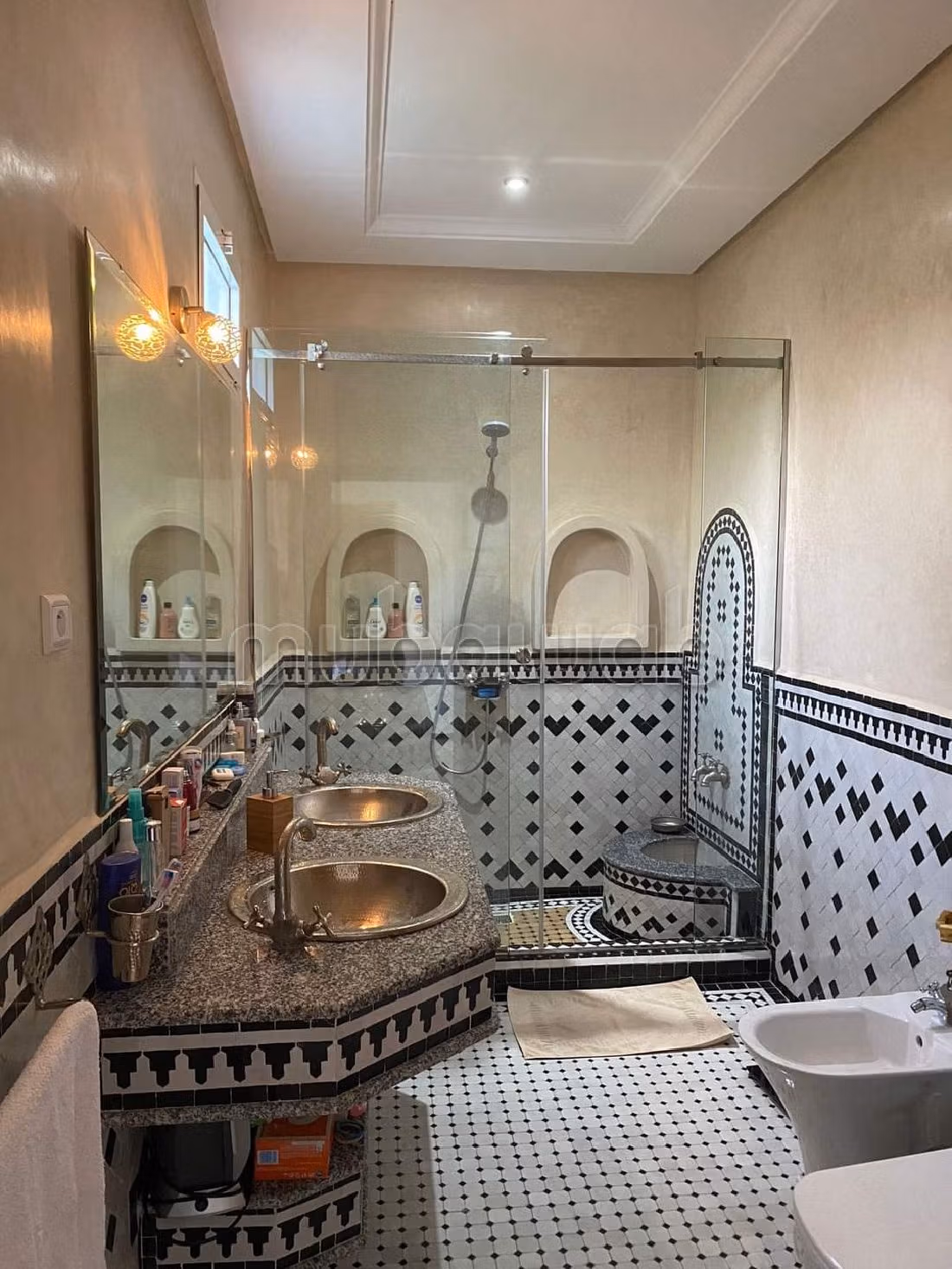 Appartement unique et spacieux à louer