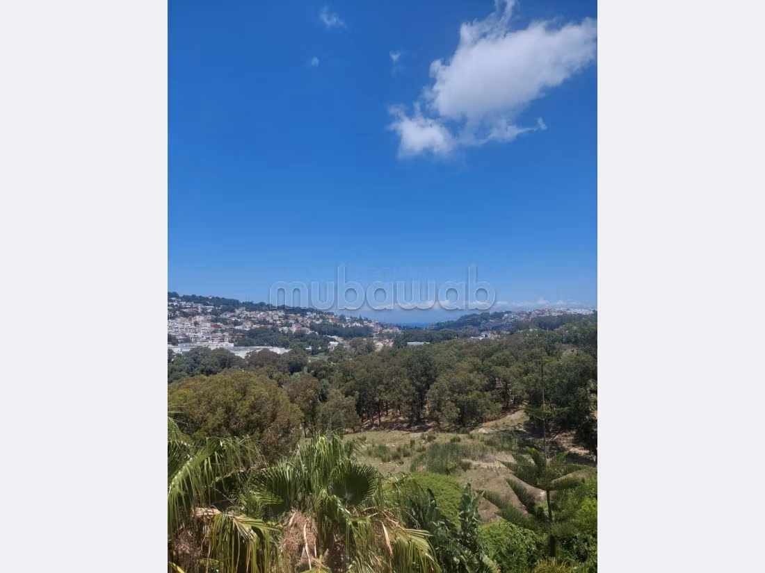 Esplendida villa en venta en Moujahidine. 8 habitaciones confortables. Piscina, aire condicionado. 