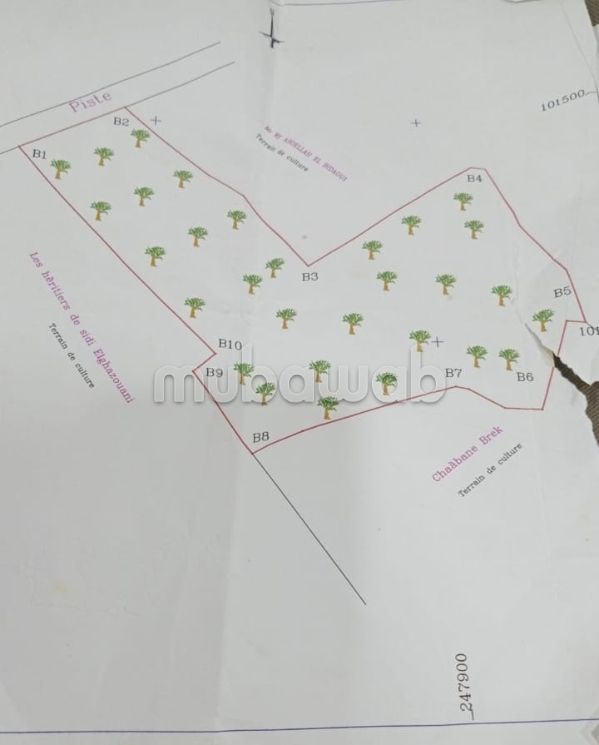 Terrain titrée km13 rte amezmiz