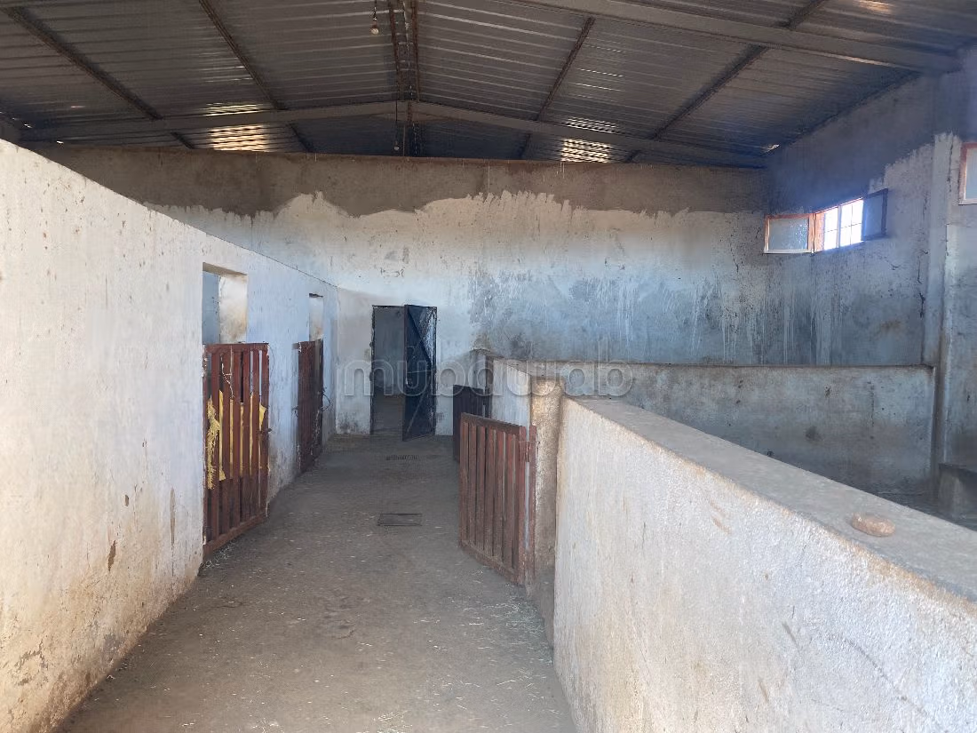 Splendida casa in vendita. 8 locali spaziosi. Servizio di conciergerie e piscina