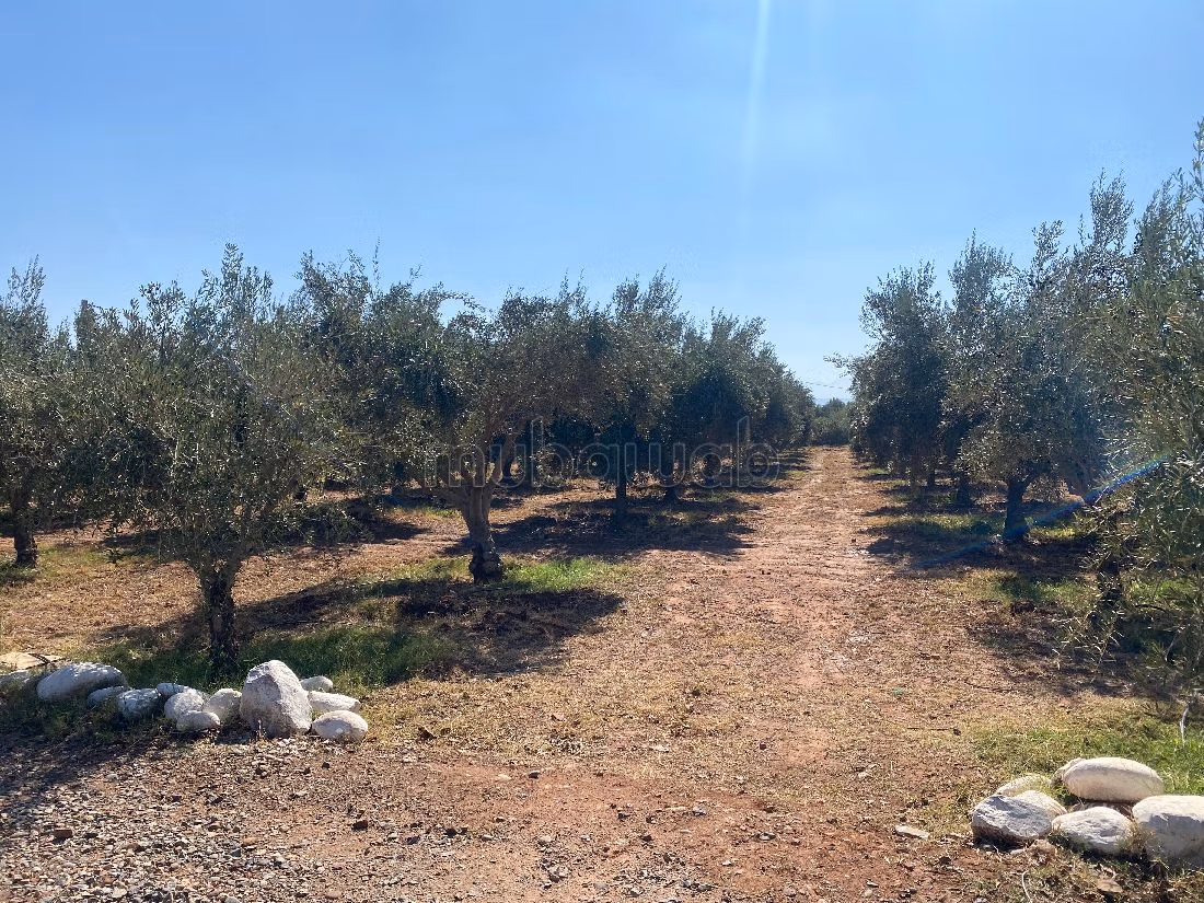 Splendida casa in vendita. 8 locali spaziosi. Servizio di conciergerie e piscina