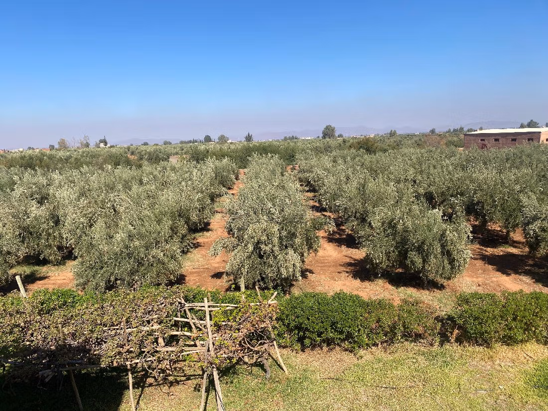 Splendida casa in vendita. 8 locali spaziosi. Servizio di conciergerie e piscina