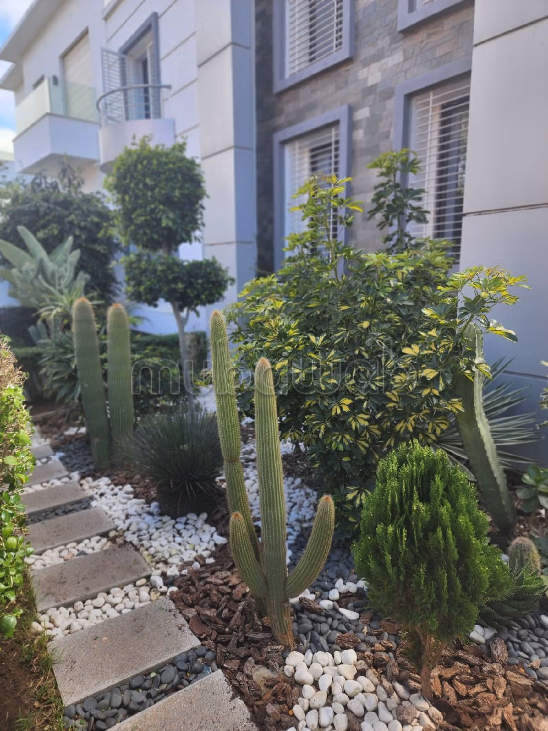 Villa professionnelle