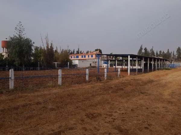 Ferme d’élevage bovin de 1,75 ha à vendre près de Benslimane
