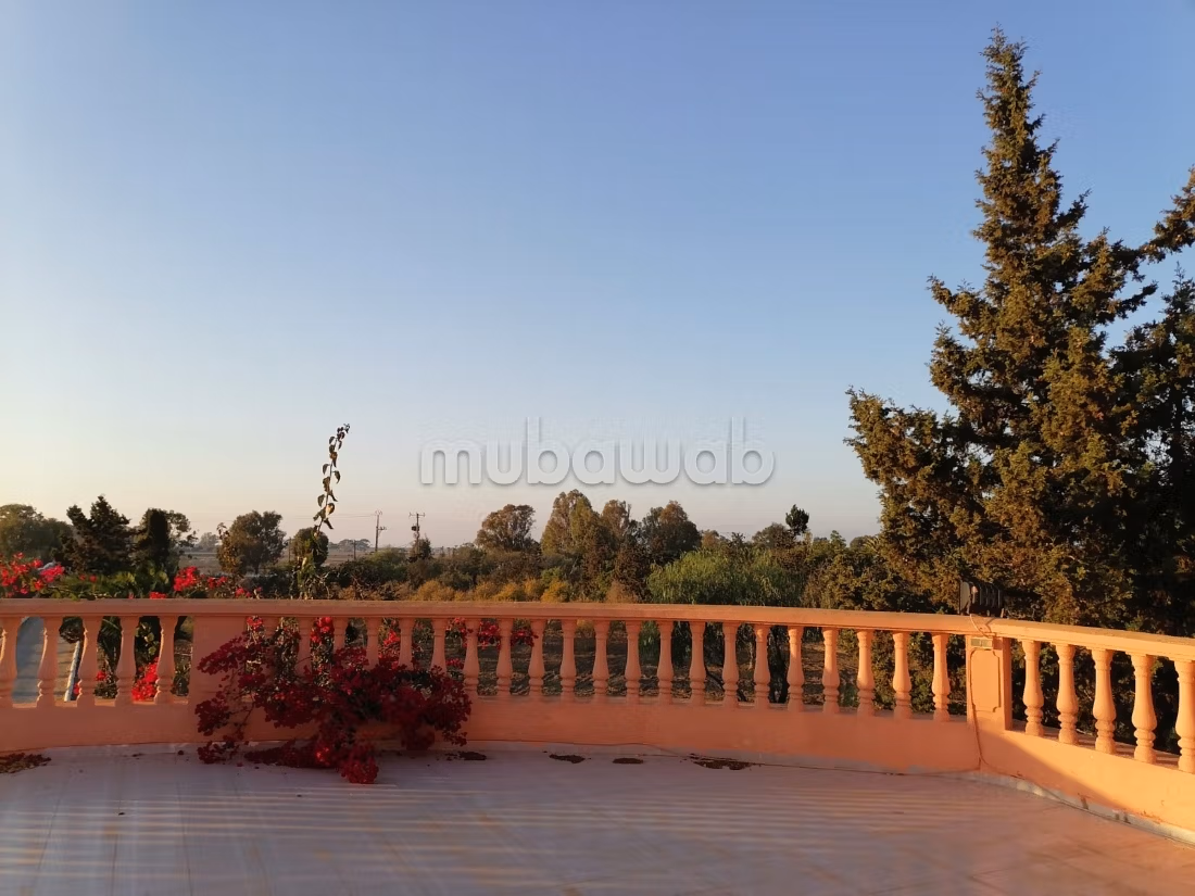 Magnificent 2-hectare titled luxury farm