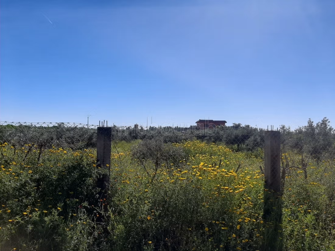 Finca titulada de 9,1 hectáreas