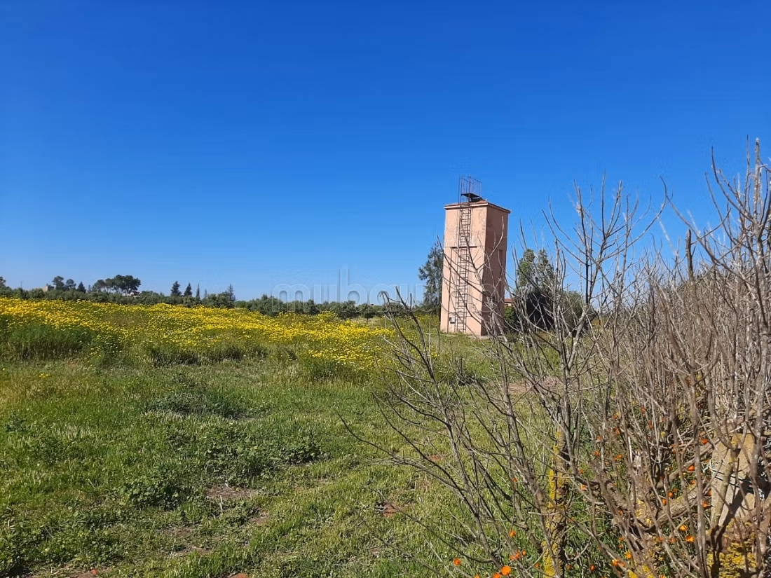 Finca titulada de 9,1 hectáreas