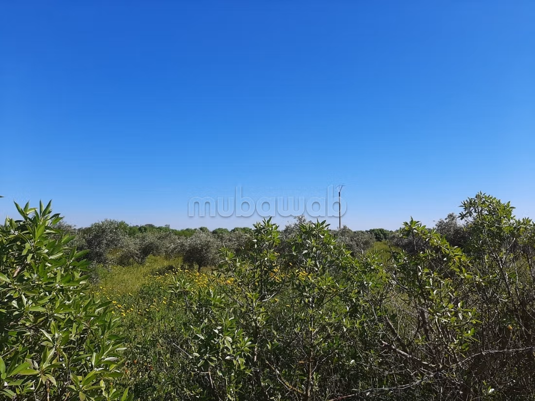 Finca titulada de 9,1 hectáreas